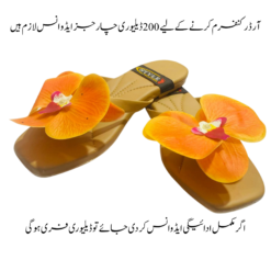 Alternative view of 229tp79